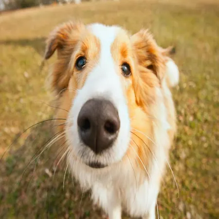 In Casale With Panoramic Vineyard Views Moncucco Torinese