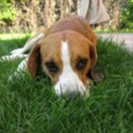 In Casale With Panoramic Vineyard Views Сasa de vacaciones Moncucco Torinese